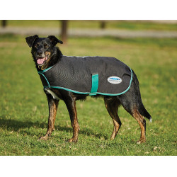 Honden deken 220g Weatherbeeta Green-Tec 900D Zwart / donkergroen