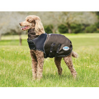 Hondenhoes 100g Weatherbeeta ComFiTec Ultra Cozi Antraciet / blauw / wit Hondenhoes 100g Weatherbeeta ComFiTec Ultra Cozi Antraciet / blauw / wit