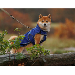 Weatherbeeta Deluxe ComFiTec hondenhoes Weatherbeeta Deluxe ComFiTec hondenhoes