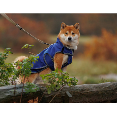 Weatherbeeta Deluxe ComFiTec hondenhoes Weatherbeeta Deluxe ComFiTec hondenhoes