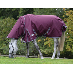 Weatherbeeta deken 0g met hals ComFiTec Plus Dynamic II Weatherbeeta deken 0g met hals ComFiTec Plus Dynamic II