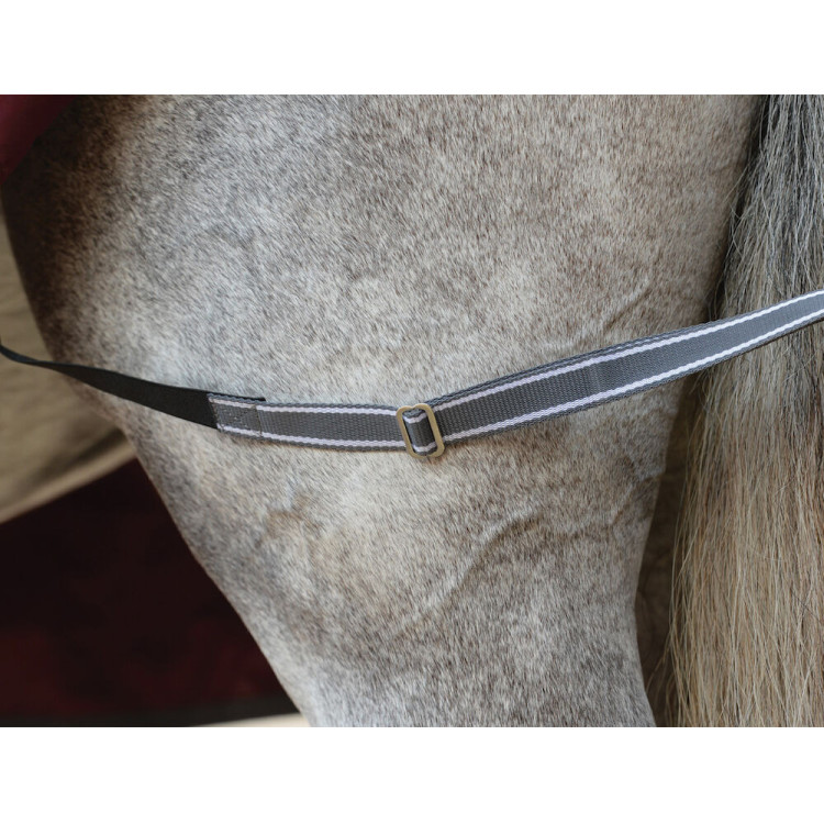 Weatherbeeta deken 0g met hals ComFiTec Plus Dynamic II Weatherbeeta deken 0g met hals ComFiTec Plus Dynamic II