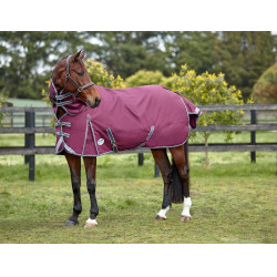Weatherbeeta deken 0g met hals ComFiTec Plus Dynamic II Weatherbeeta deken 0g met hals ComFiTec Plus Dynamic II
