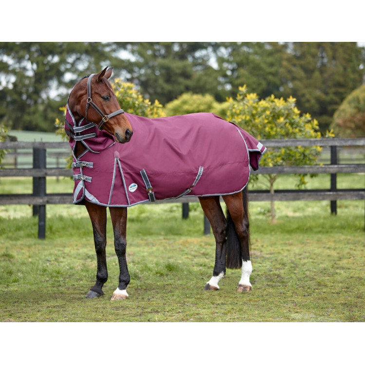 Weatherbeeta deken 0g met hals ComFiTec Plus Dynamic II Weatherbeeta deken 0g met hals ComFiTec Plus Dynamic II