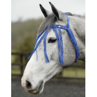 Vliegenfranje Saxon Blauw Vliegenfranje Saxon Blauw