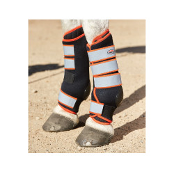 Versterkte stalbeschermers Weatherbeeta Therapy-Tec Versterkte stalbeschermers Weatherbeeta Therapy-Tec