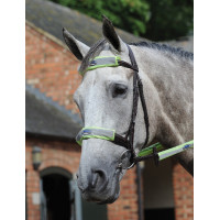 Set van 4 reflecterende stukken voor hoofdstel Weatherbeeta Geel