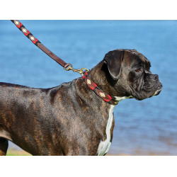 Weerbestendige leren hondenhalsband Polo Weerbestendige leren hondenhalsband Polo