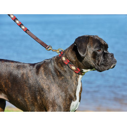 Weerbestendige leren hondenhalsband Polo Weerbestendige leren hondenhalsband Polo