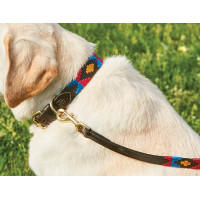 Weerbestendige leren hondenhalsband Polo Marron cowdray / zwart / rood / wit Multicolor Weerbestendige leren hondenhalsband Polo Marron cowdray / zwart / rood / wit Multicolor