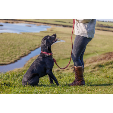 Laisse pour chien Weatherbeeta cuir rond Bordeaux Laisse pour chien Weatherbeeta cuir rond Bordeaux