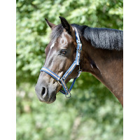 Halster Weatherbeeta Coordinate Donkerblauw / bruin / grijs