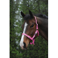 Economische Saxon halster Roze