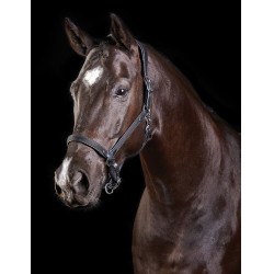 Leren halster Collegiate ComFiTec