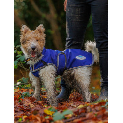 Hondenhoes 220g Weatherbeeta ComFiTec Deluxe