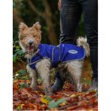 Hondenhoes 220g Weatherbeeta ComFiTec Deluxe Hondenhoes 220g Weatherbeeta ComFiTec Deluxe