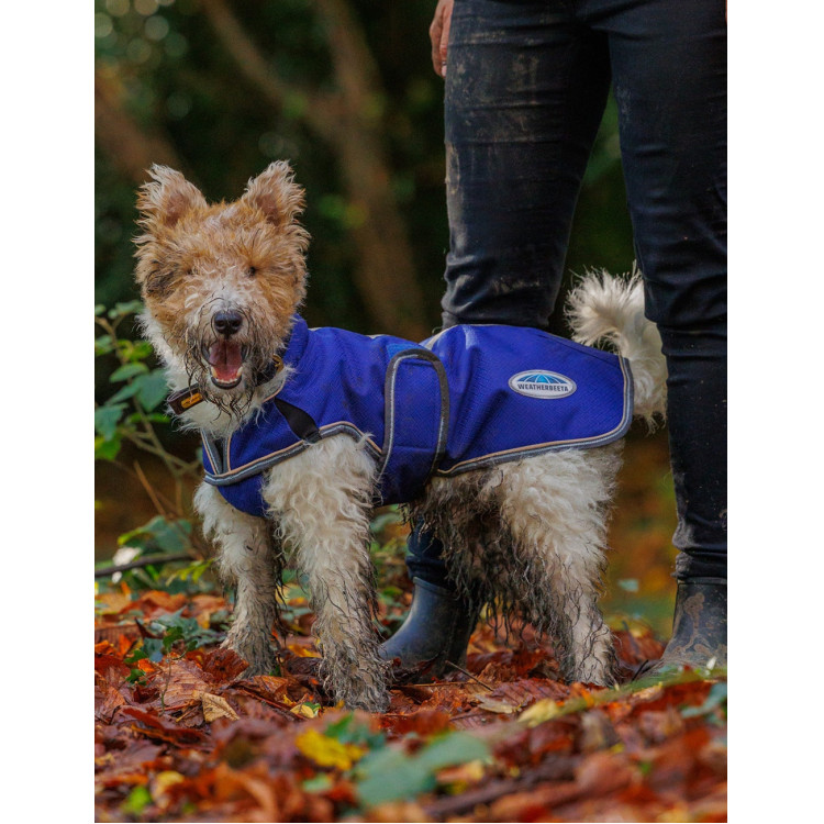 Hondenhoes 220g Weatherbeeta ComFiTec Deluxe