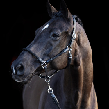 Halster HV Polo Franka Zwart