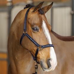 Halster HV Polo Nena Halster HV Polo Nena