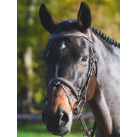 Bridon Carat Jump'In One Premium Havanna kristal marine Bridon Carat Jump'In One Premium Havanna kristal marine