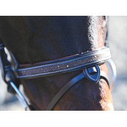 Bridon Carat Jump'In One Premium Havana Bruin