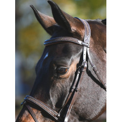 Bridon Carat Jump'In One Premium Havana Bruin