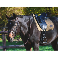 Bridon Carat Jump'In One Premium Havana Bruin