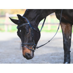 Bridon Carat Jump'In One Premium Zwart