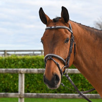 Hoofdstel Clincher Jump'In One Premium Havana Bruin