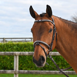 Hoofdstel Clincher Jump'In One Premium Havana Bruin