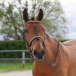 Hoofdstel Clincher Jump'In One Premium Havana Bruin