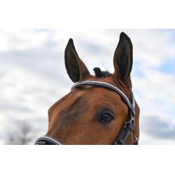 Hoofdstel Clincher Jump'In One Premium Havana Bruin