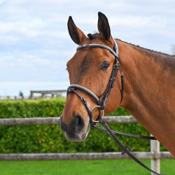 Hoofdstel Clincher Jump'In One Premium Havana Bruin