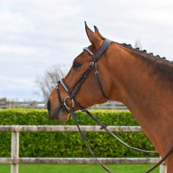 Hoofdstel Clincher Jump'In One Premium Havana Bruin