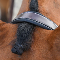 Hoofdstel Clincher Jump'In One Premium Havana Bruin