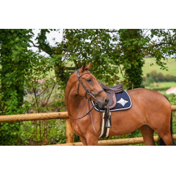 Hackamore Hoofdstel Jump'In week