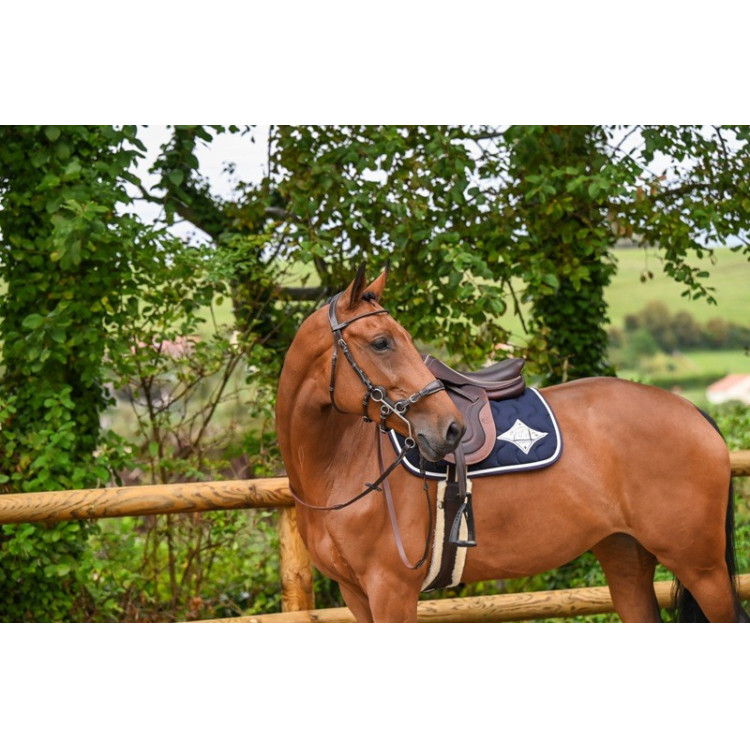 Hackamore Hoofdstel Jump'In week