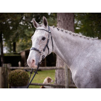 Hackamore Hoofdstel Jump'In week Zwart Hackamore Hoofdstel Jump'In week Zwart