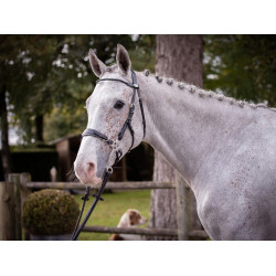 Hackamore Hoofdstel Jump'In week Zwart