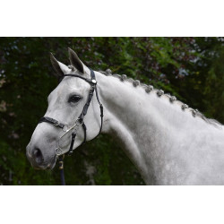 Hackamore Hoofdstel Jump'In week Zwart