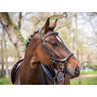 Bridon Jump'In Summer anatomische neusriem week Zwart