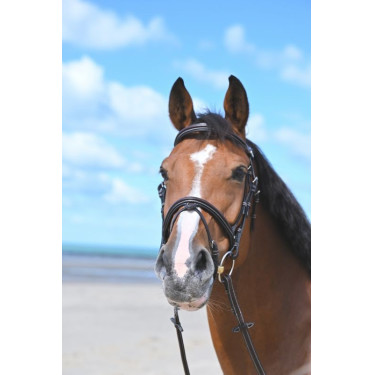 Bridon Jump'In Tuesday gecombineerde neusriem week Zwart