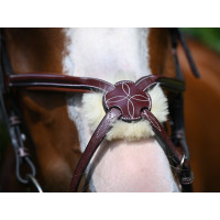 Bridon Jump'In Tuesday gecombineerde neusriem week Havane