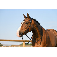 Bridon Liberty Jump'In One Zwart