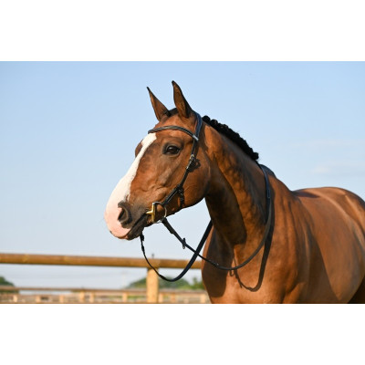 Bridon Liberty Jump'In One Zwart