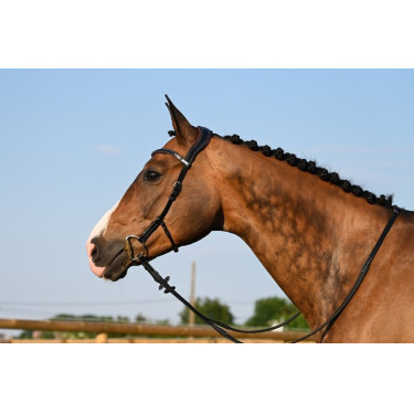 Bridon Liberty Jump'In One Zwart