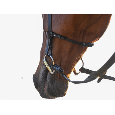 Bridon Liberty Jump'In One Zwart