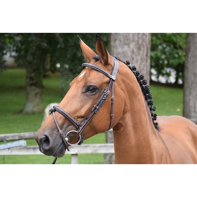 Bridon Thursday gecombineerde neusriem Jump'In week