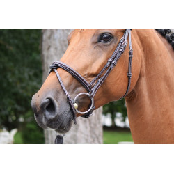 Bridon Thursday muserolle combinée Jump'In week Bridon Thursday muserolle combinée Jump'In week