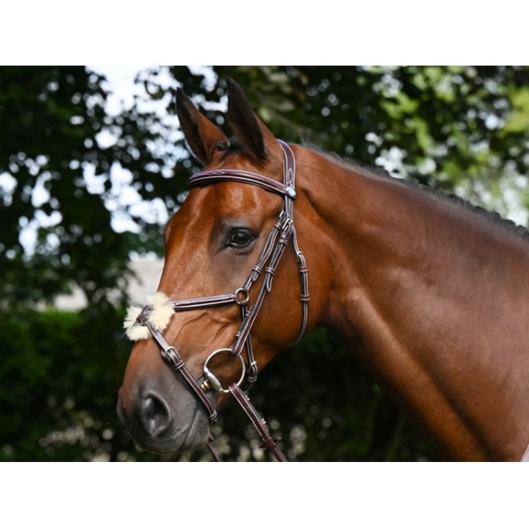 Bridon Thursday gecombineerde neusriem Jump'In week